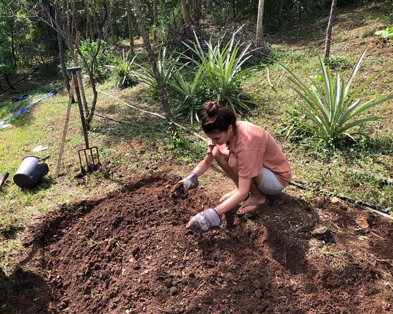 Shelby Sires tending to a garden in Fiji.
